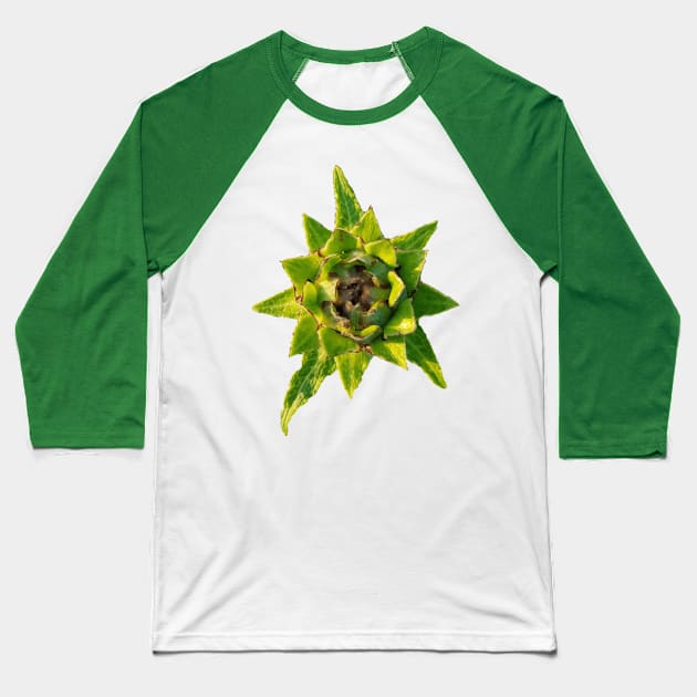 Vegetable Baseball T-Shirt by Circles-T